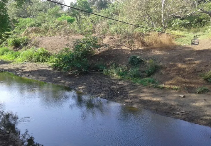 Se conformó un comité de cuenca del río, que busca la defensa y protección del recurso hídrico. /Foto Thays Domínguez