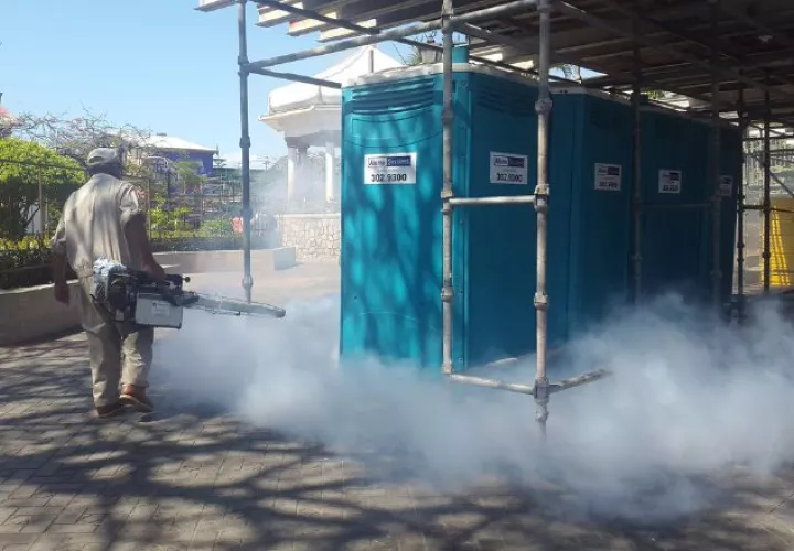 Los mosquitos descansan en áreas húmedas y oscuras. /Foto Cortesía