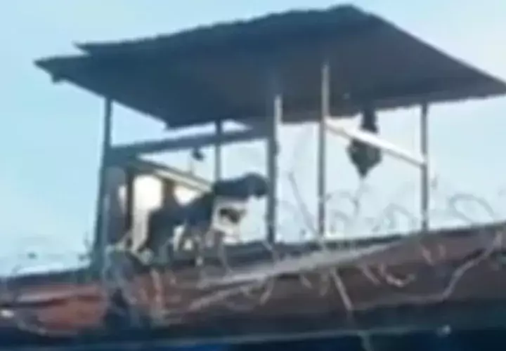 Realizaba su turno cuando fue grabado.  