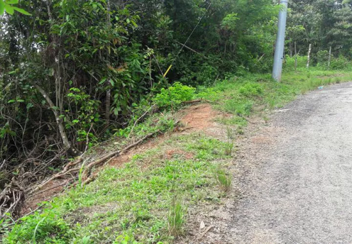 Hace unas semanas  un camión cargado con reses, cayó por un barranco al no tener protección la vía. Foto: Diómedes Sánchez