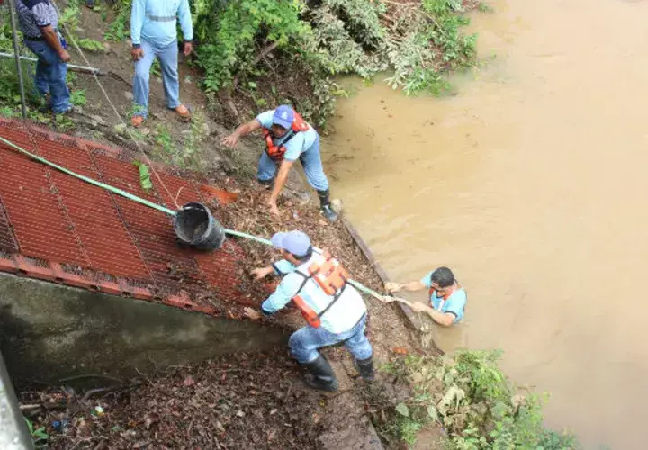 Este problema ha originado desabastecimiento del 50 por ciento de la población. Foto: José Adames
