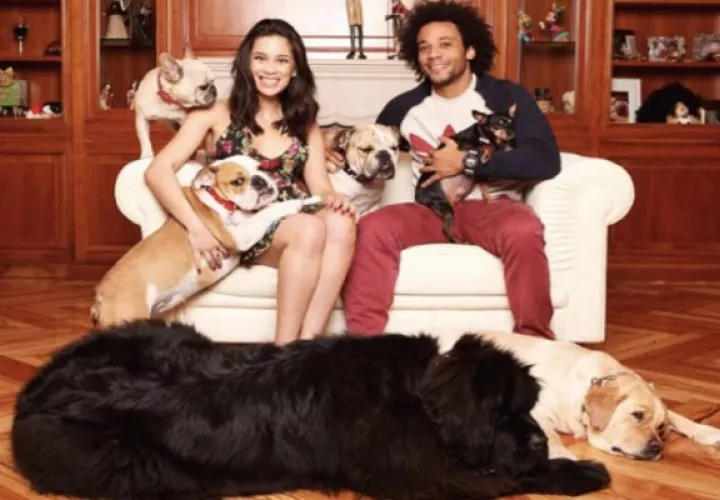Marcelo ama los perros.