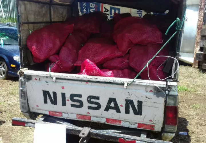 Se presume que el ñame fue transportado desde la provincia de Darién.