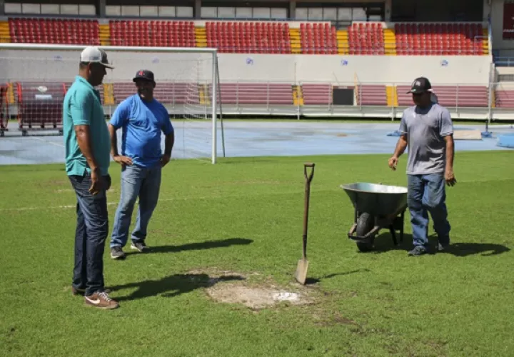 Se fumigará la grama para evitar la propagación de los hongos.