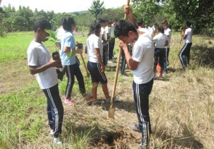 Estudiantes tuvieron una masiva participación en la siembra de plantones. Foto: Cortesía