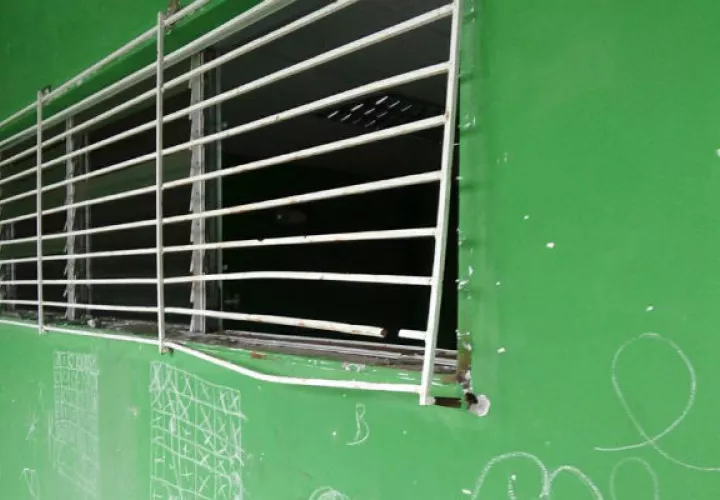 Los linces ni se dieron por enterados del acto vandálico. Foto: Diómedes Sánchez