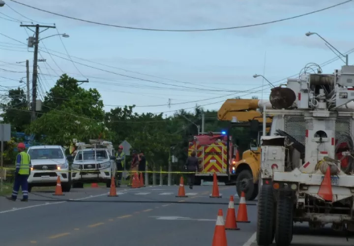 Los trabajos de mantenimiento han incluido la poda de ramas y reemplazo de postes y aisladores. /Foto Thays Domínguez  