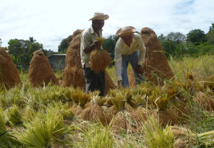 Los productores nacionales de diferentes rubros  mantienen una lucha contra las importaciones desde hace varios años. 
