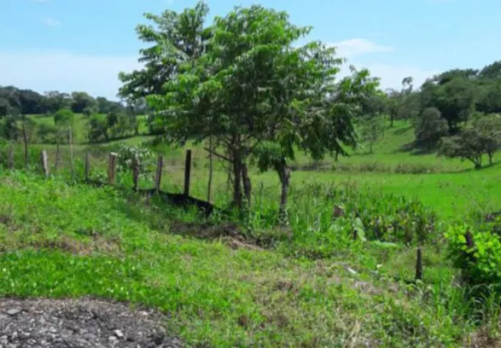 Este es el terreno en la entrada de Remedios, donde se quiere construir una casa de citas. /Foto José Vásquez