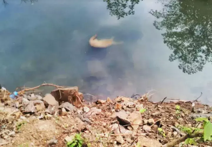 La muer apareció flotando en las aguas del río Arraijancito de Burunga. / Archivo.