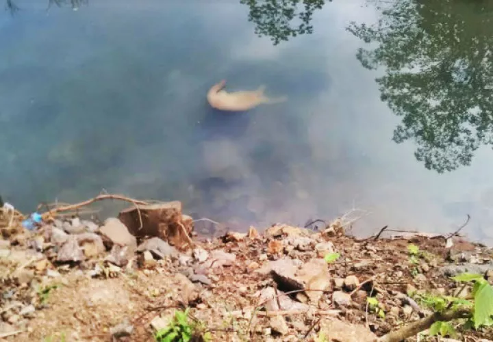 El cuerpo sin vida fue encontrado en el río Arraijancito, en Burunga / Archivo.