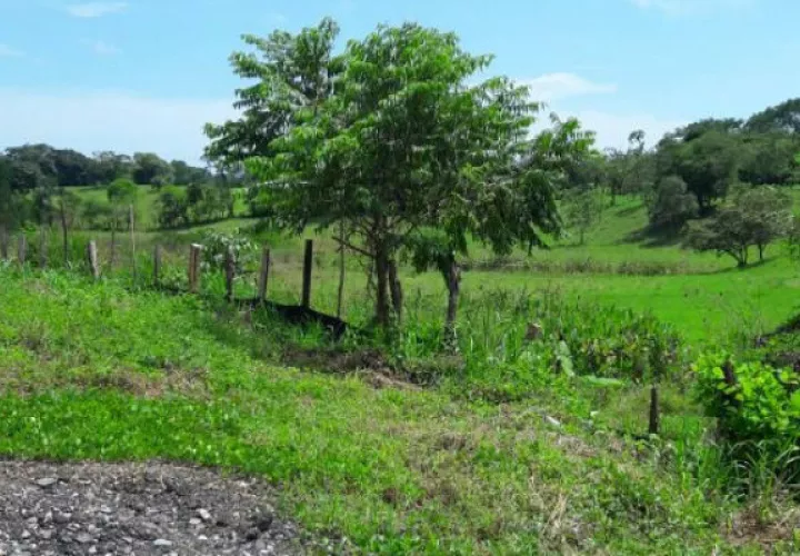 Construcción de casas de citas fue declarada viable por la gobernación