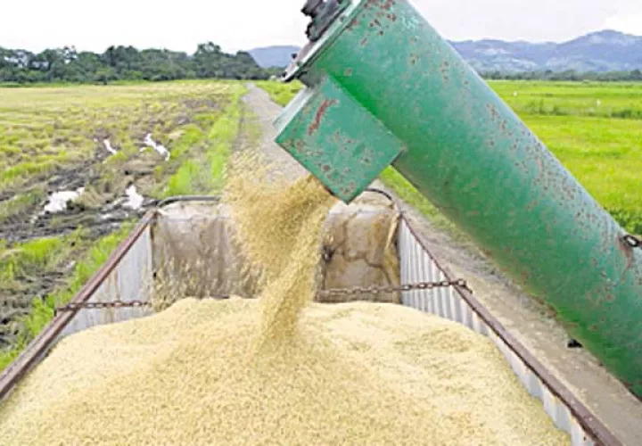 El país,  entre los países de la región con mayores importaciones