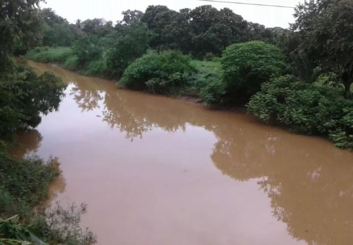 Personal de Calidad Ambiental de MiAmbiente sigue realizando recorridos a lo largo del río.