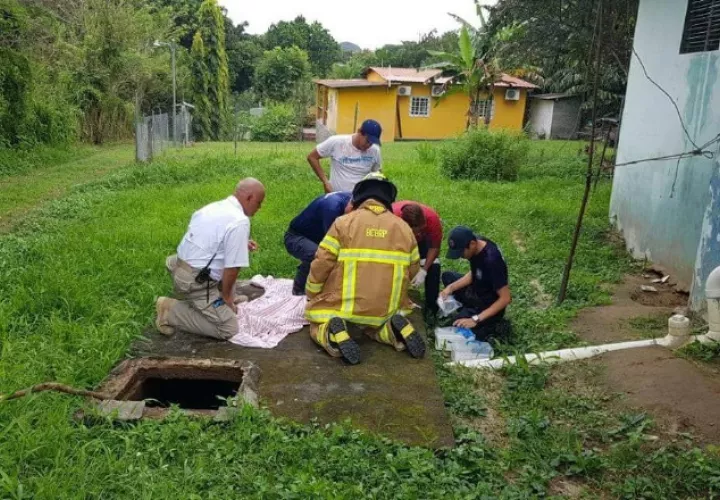 Bomberos y paramédicos asistieron al menor, pero fue en vano. /Foto Elena Valdez 