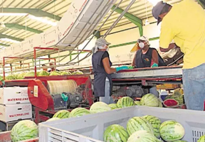 Proyección de comercio para la región al cierre de 2017 es positiva