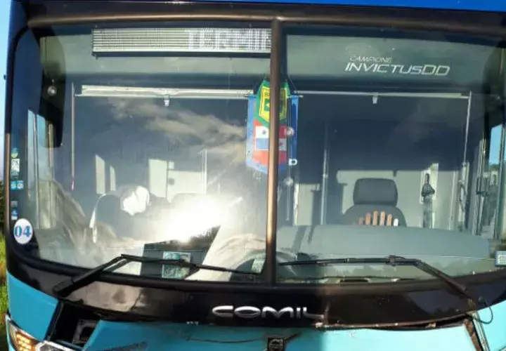El bus golpeó de frente a las reses. 