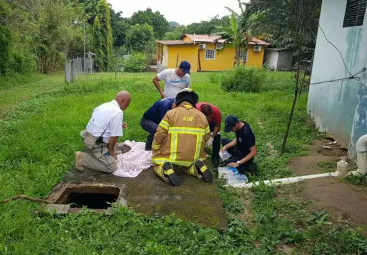 Fue atendido por bomberos y paramédicos pero no sobrevivió. Foto: Elena Valdez 