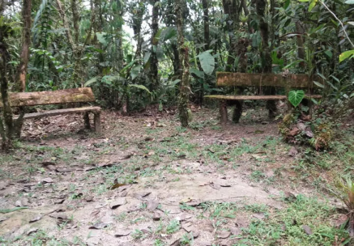  Monumento Natural Cerro Gaital es un área protegida en el Valle de Antón
