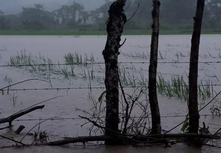 Las lluvias no detienen en el sur de Mariato. Foto: Melquíades Vásquez
