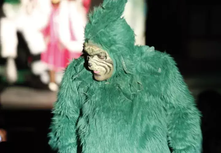 Ni amor, ni esperanza ni alegría cabían en la vida de  Grinch. Estaba resentido, dolido. No confiaba en nadie, había sido víctima de burlas. /Foto Josué Arosemena