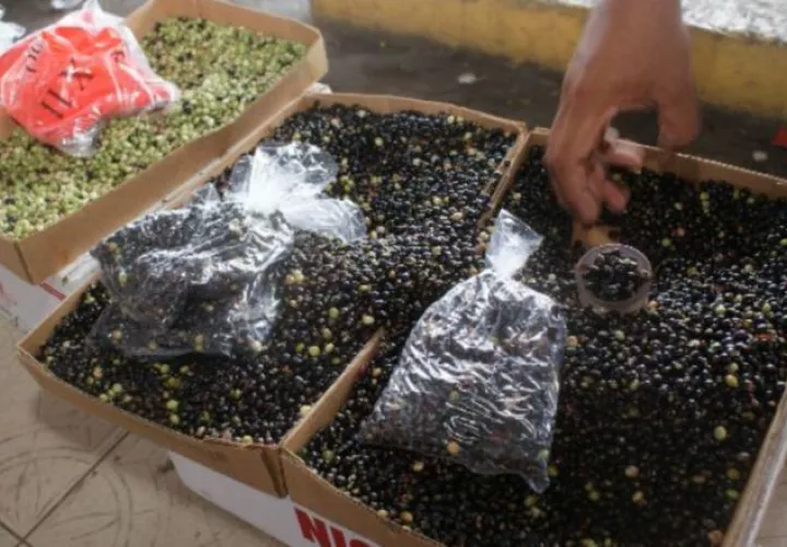 Aumenta la venta del producto con respecto  al resto de los meses anteriores. /Foto Archivo