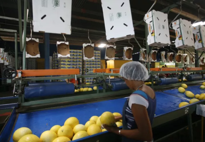 El abandono de la actividad productiva  por la falta de apoyo de las autoridades, impide que el país sea más competitivo y que se beneficie de relaciones comerciales. /Foto Archivo