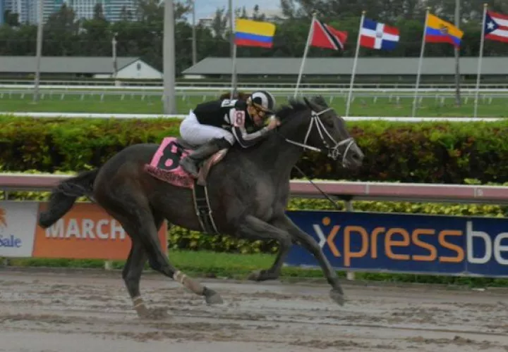 Gana Coltimus en competencia. Foto @GulfstreamPark