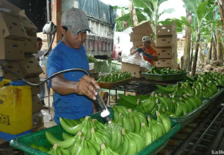 Proyección directa es de 4 millones de dólares para la región.