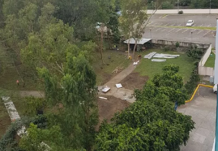 Trabajos en el  parque, antes de la reunión.