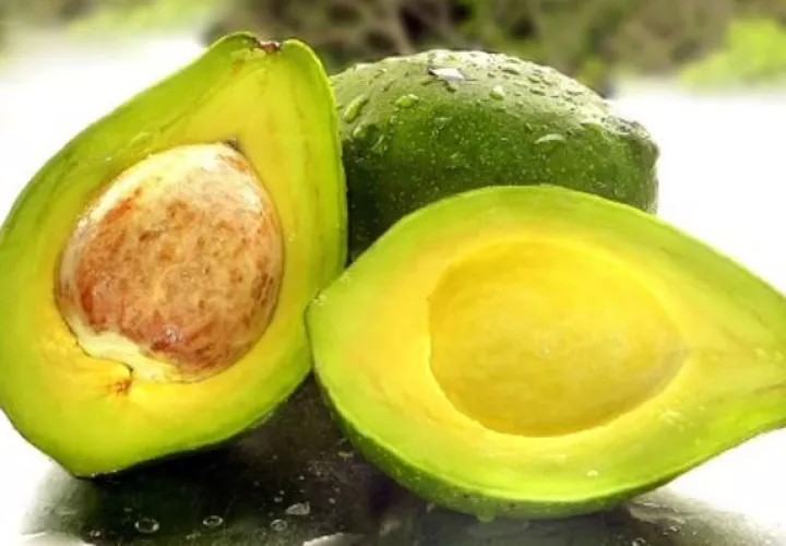 Entre los componentes del aceite se encontró un ingrediente importante en la elaboración de medicamentos antivirales.