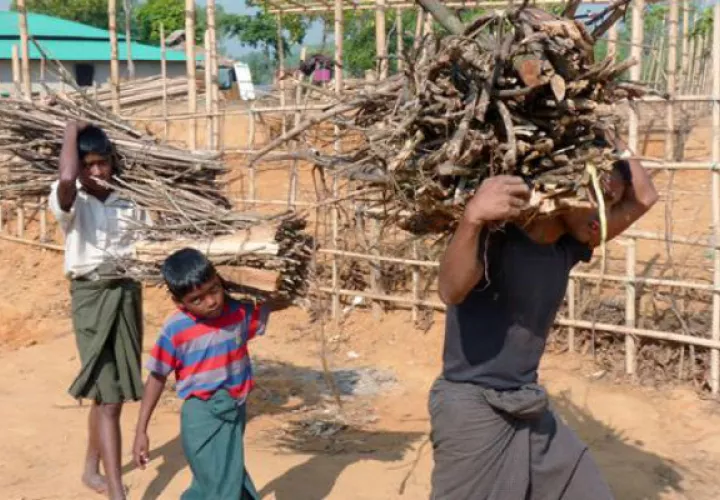 Dos niños acompañan a un adulto cargando leña que han recogido de los bosques de los alrededores del campamento de Kutupalong, en Bangladesh. Foto: EFE