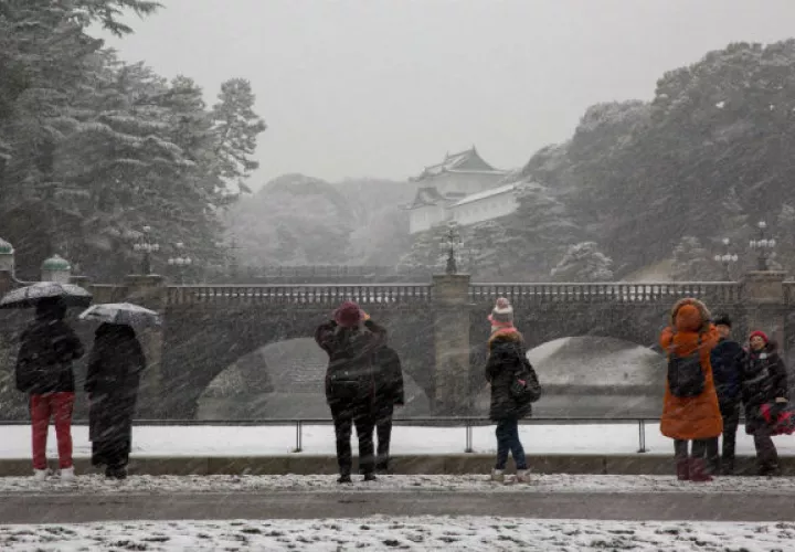 Nieva con fuerza en Tokio, Japón. Foto: EFE 