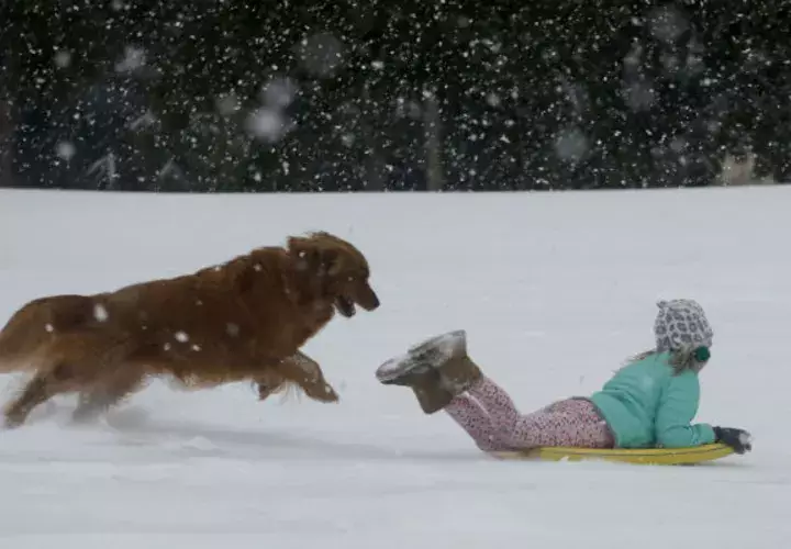 Una persona y su perro juegan en la nieve. FOTO/AP