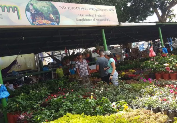 El colorido de la diversidad de plantas. /Foto Archivo