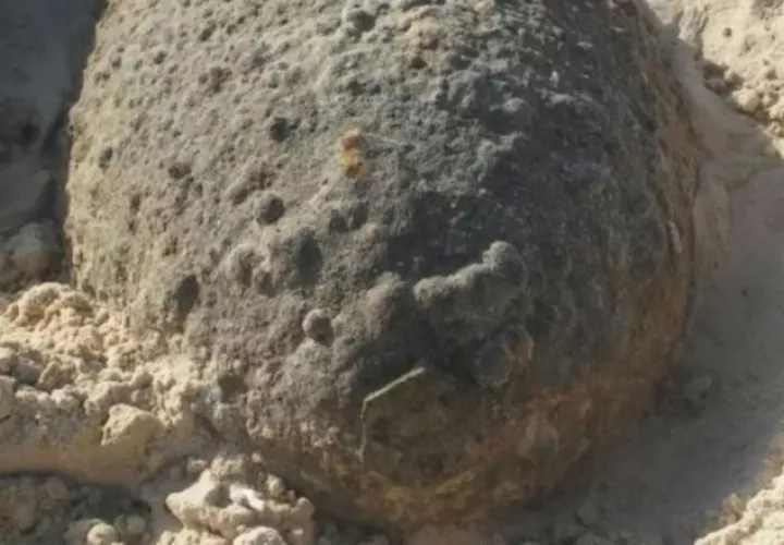 Esta es la segunda bomba hallada en menos de dos semanas en la isla de atracción turística. /Foto Cortesía
