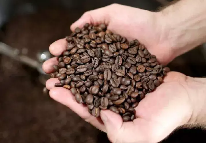 Grandes artistas han señalado que el café ha sido un aliado en sus vidas.  AFP