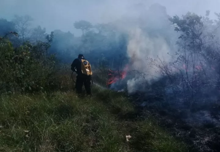 Entre las principales causas estarían la utilización de herramienta de limpieza.