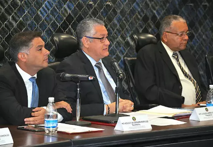 Los panameñistas lideran la Comisión de Credenciales / Achivo.