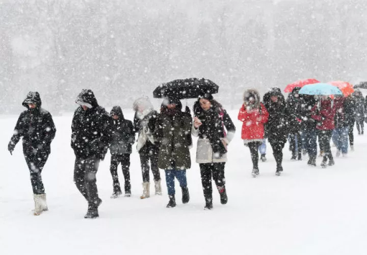 Varias personas caminan bajo una tormenta de nieve en el Green Park de Londres. Foto: EFE 