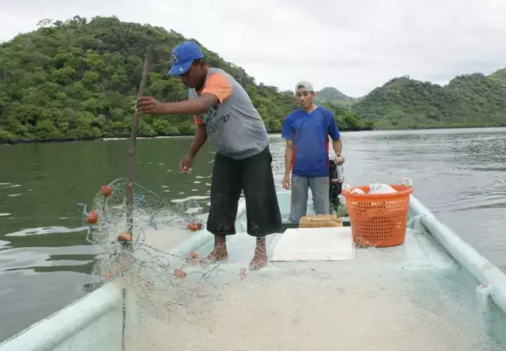 La exportación de pescado y filete de pescado reportó un crecimiento de 1.2% de enero a diciembre. Archivo