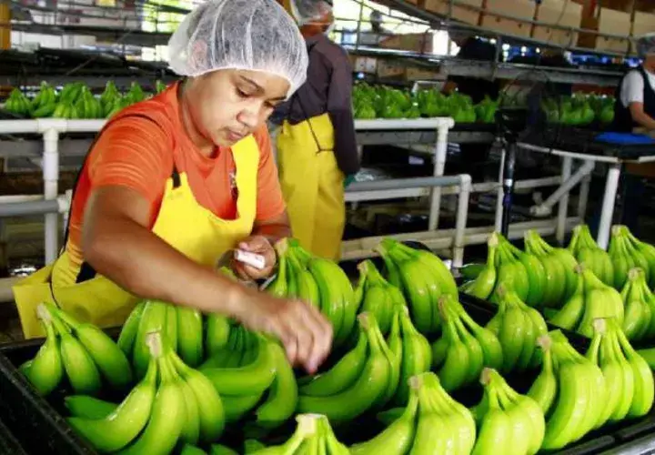 $13.7 millones más en ventas. /Foto Cortesía