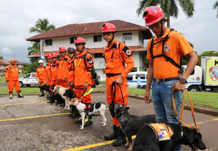 Caninos deberán mantener buena salud. 