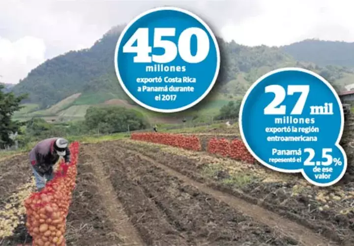 En los últimos años, la participación del sector agropecuario en el producto interno bruto del país  ha disminuido significativamente, aseguran los productores. Archivo