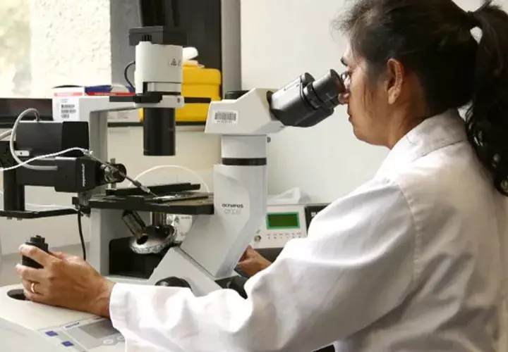 Los investigadores hacen un llamado de atención a los médicos. FOTO/EFE