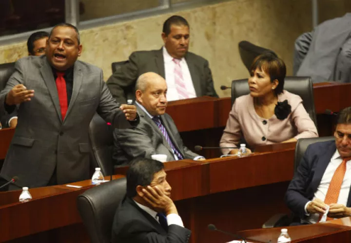 En su intervención, el diputado Raúl Pineda.