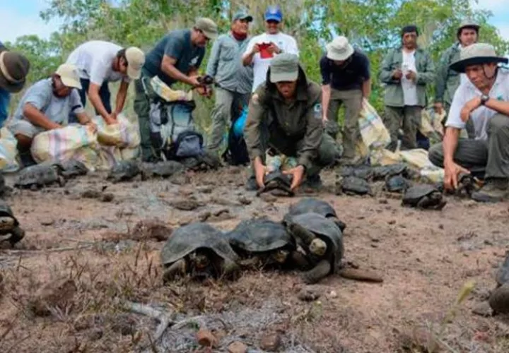Los puntos de ingreso para la Reserva Marina Galápagos son los aeropuertos de Baltra y San Cristóbal. FOTO/EFE