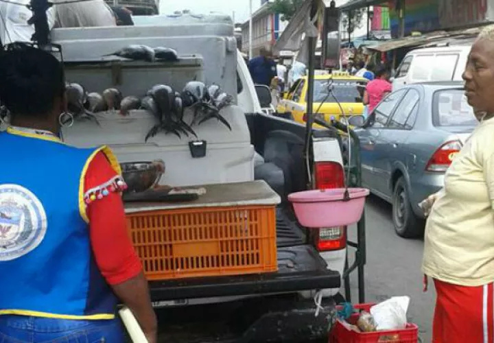 Instante que inspeccionan un puesto de venta de mariscos en la ciudad de Colón. Foto: Diómdes Sánchez