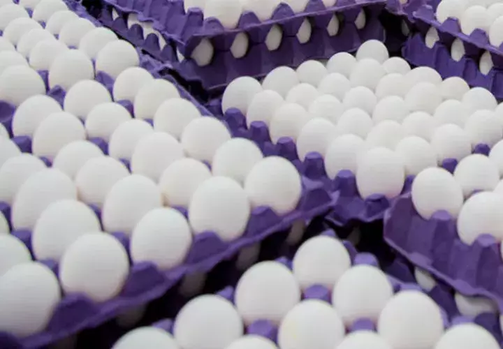 Los huevos Rose Acre Farms no han ingresado al país legalmente