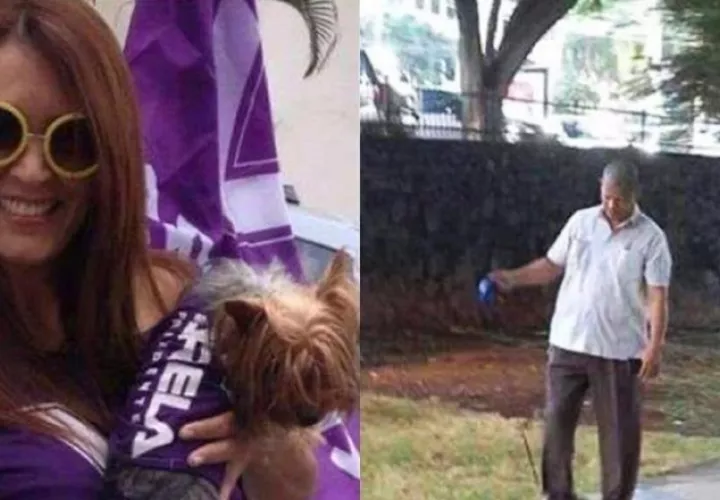 Ratificarán en juicio que eran obligados a pasear a mascota Gucci. Archivo